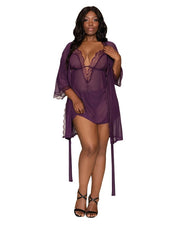 Stretch Mesh Chemise & Robe Set w/ Lace Trim & G-String